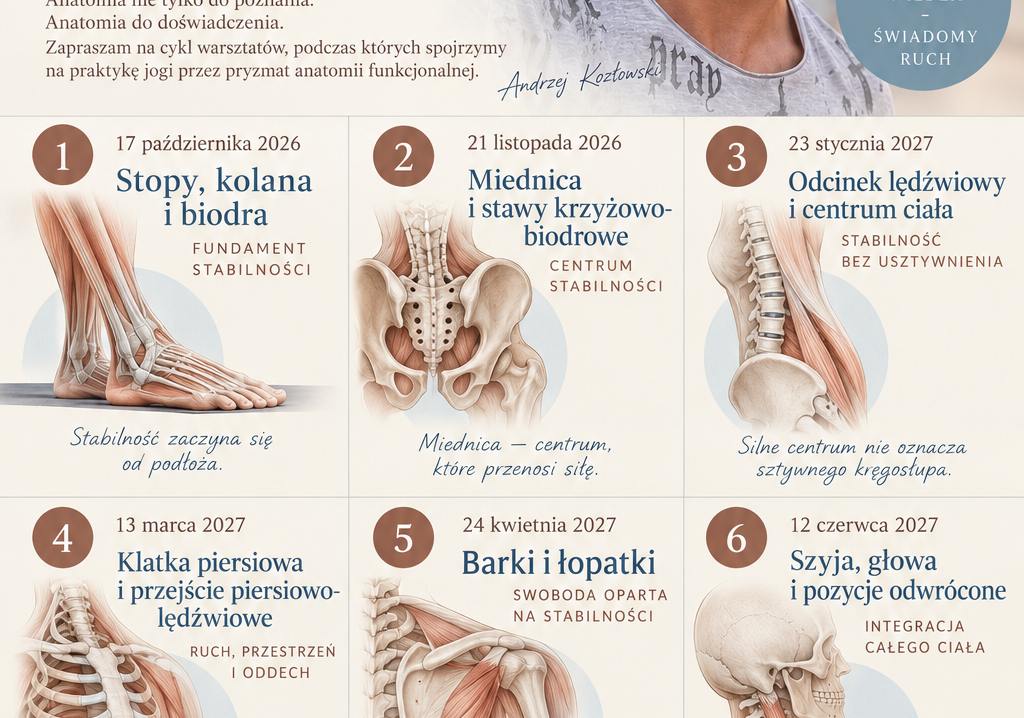 Anatomia w praktyce jogi - cykl warsztatów